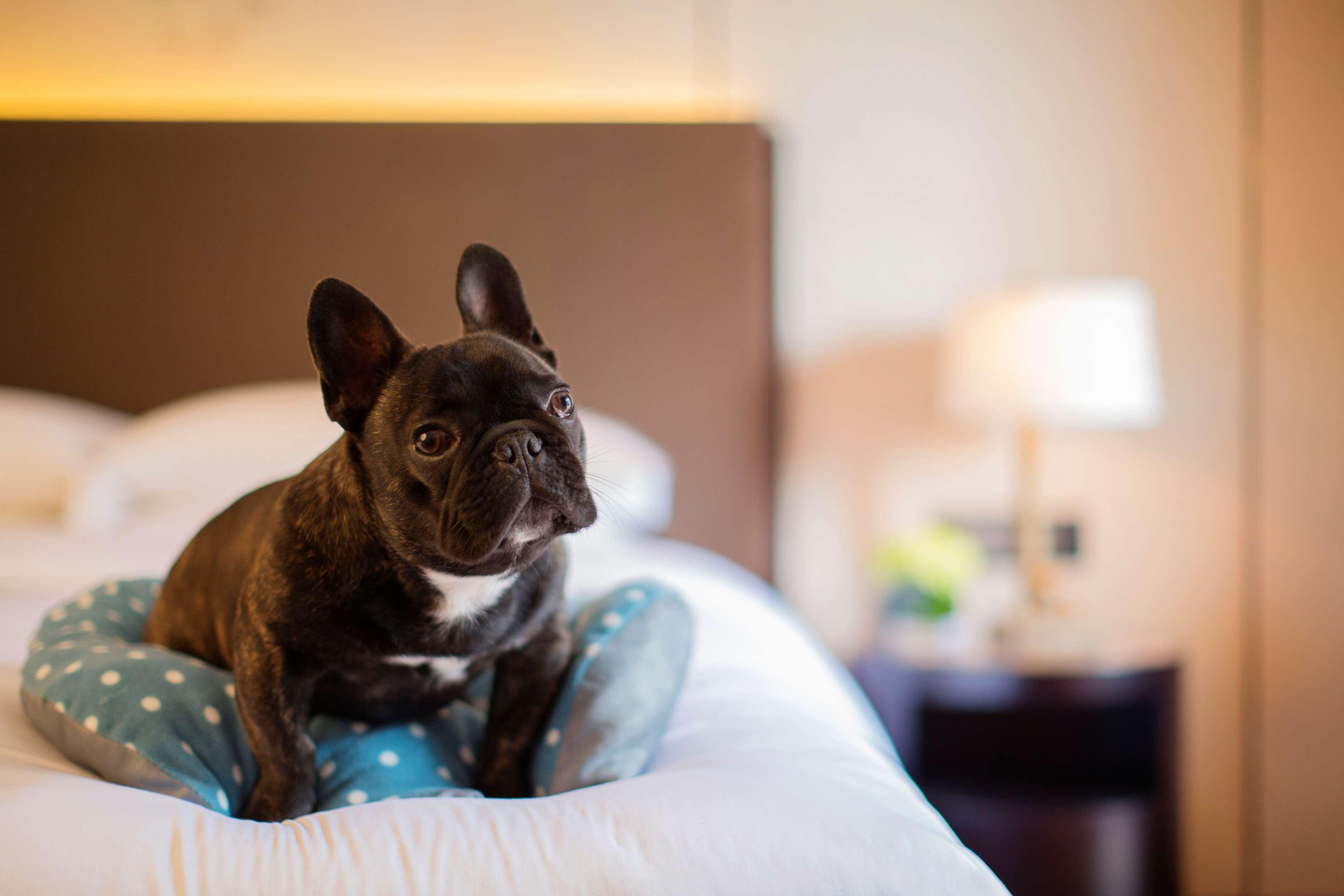 Hotel Hyatt Regency