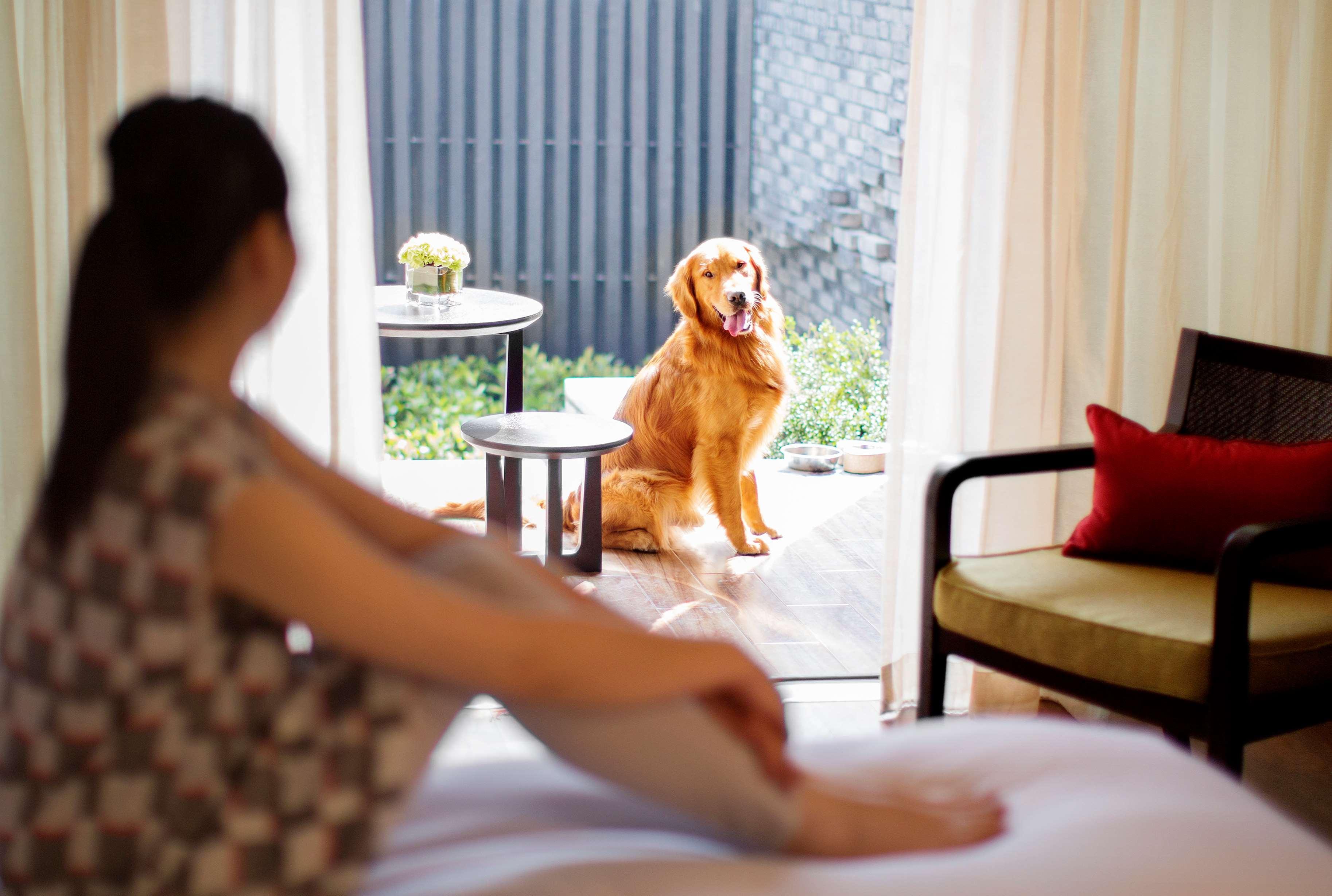 Hyatt Regency Hotel 5*